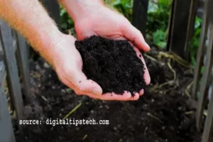 how to make your own fertilizer