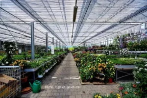Basement Greenhouse 